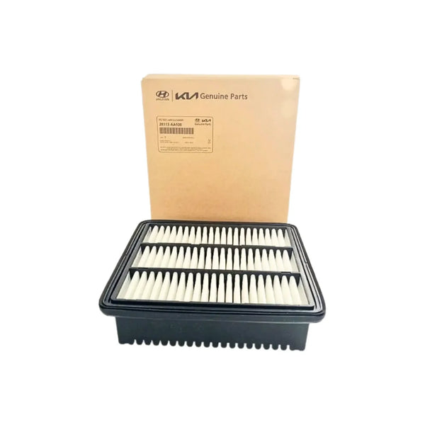Filtro De Aire Hyundai Elantra 1.6 2.0 De 2021-2024 Original