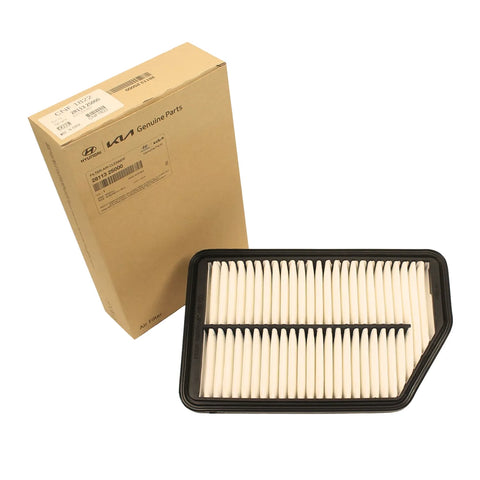 Filtro Original Kia 28113-2S000